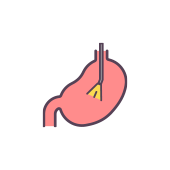 胃カメラ・各種検査